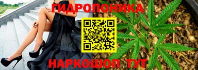 прущие крисы Шахты