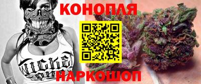 прущие крисы Шахты
