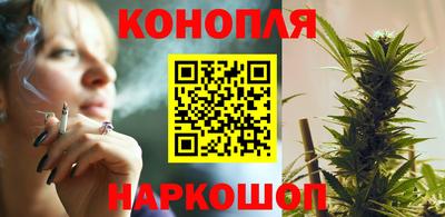 прущие крисы Шахты