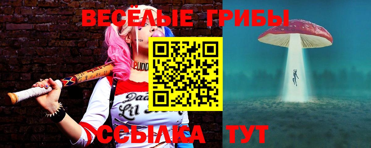 Псилоцибиновые грибы мицелий Дальнереченск